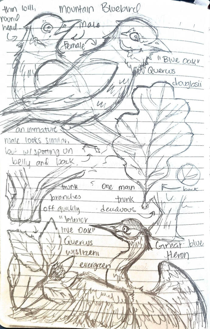 Field Journal Entry 2 Field Journal Entry 2