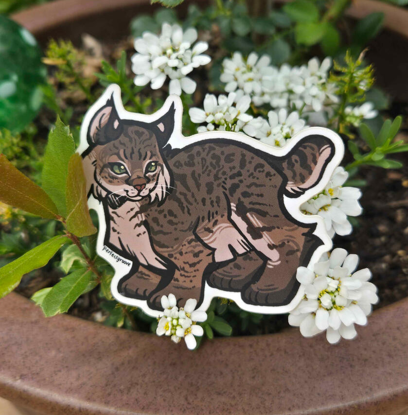 Bobcat Sticker Bobcat Sticker