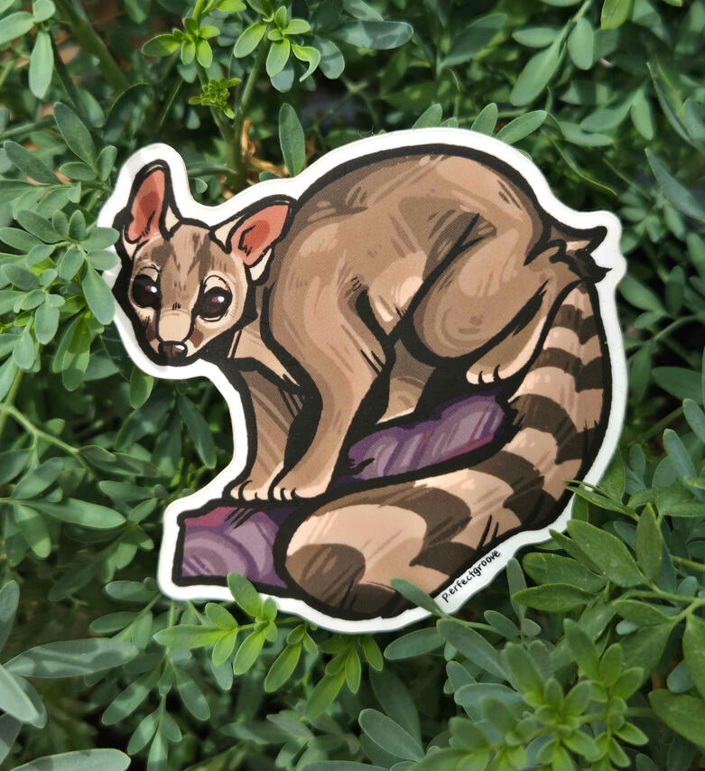 Ringtail Sticker
